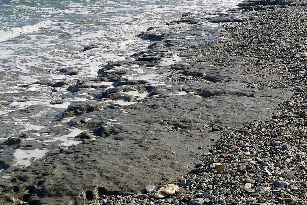 板干瀬（謝敷海岸）