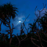 沖縄の月（イメージ写真）