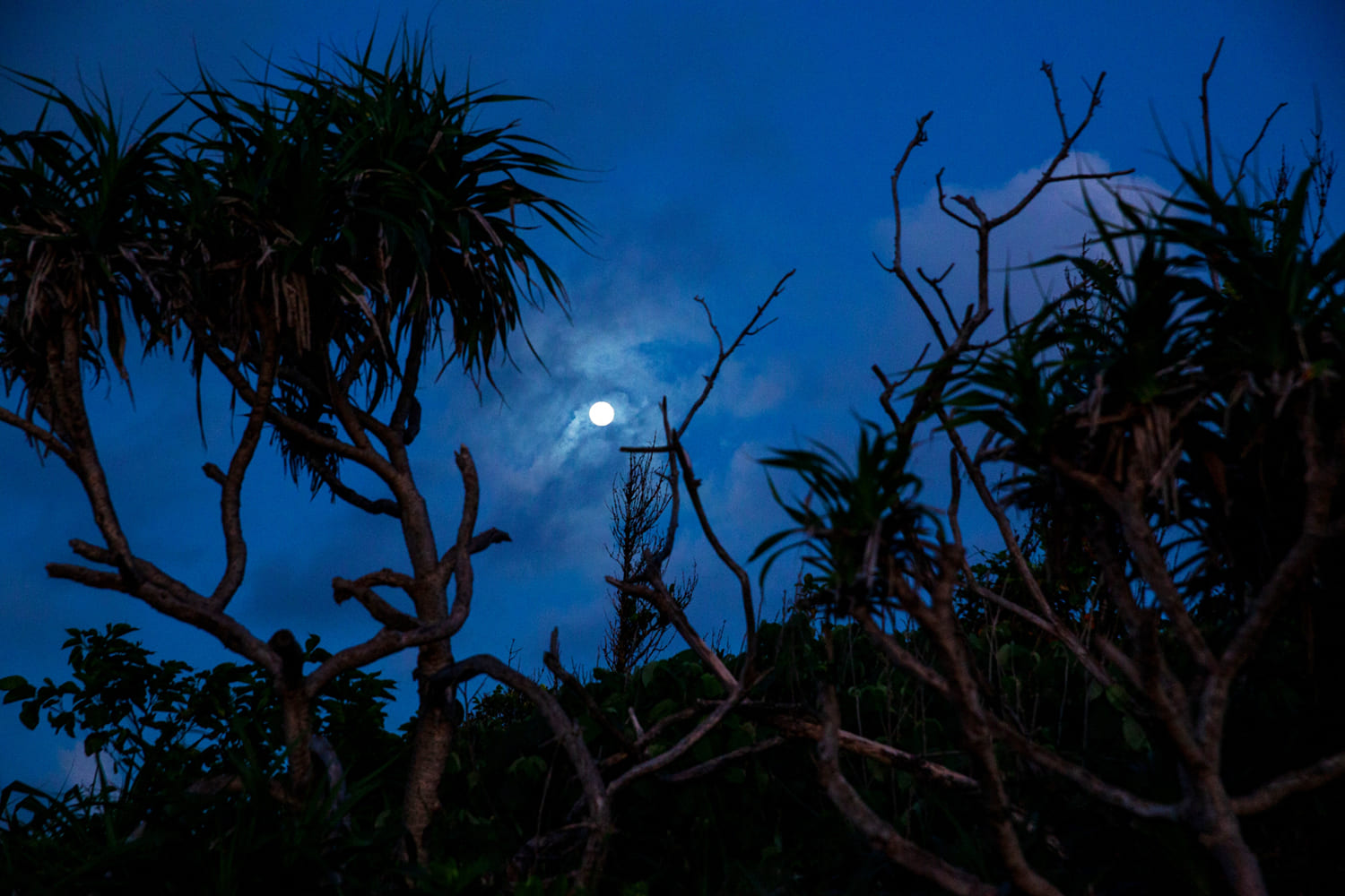 沖縄の月（イメージ写真）