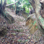 伊野波の石くびり