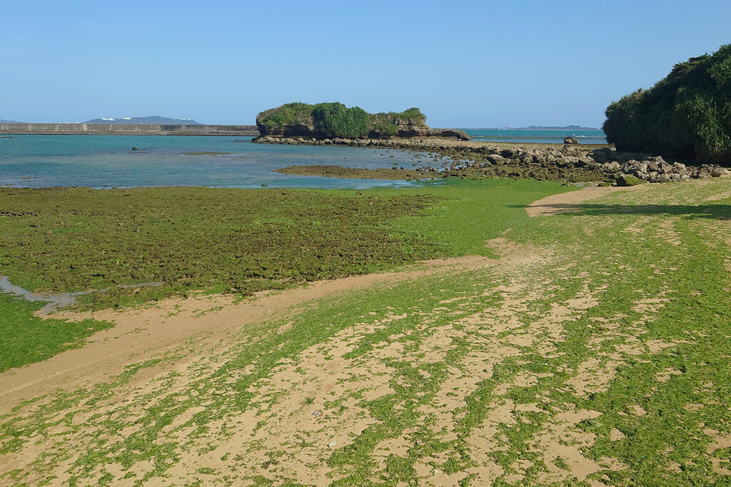 赤野の浜（赤野海岸）