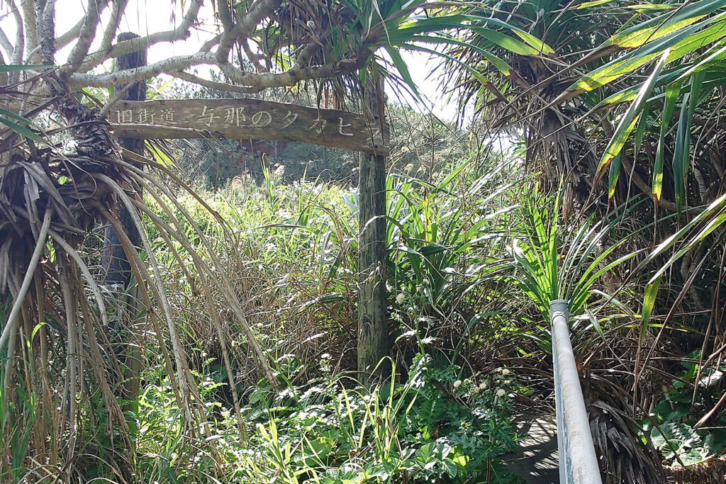 与那のタカヒラ