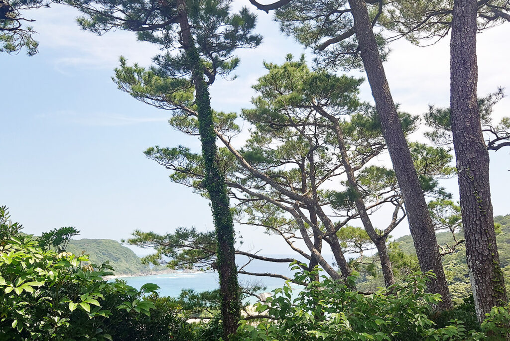 マハンタ広場のから見晴らす景色