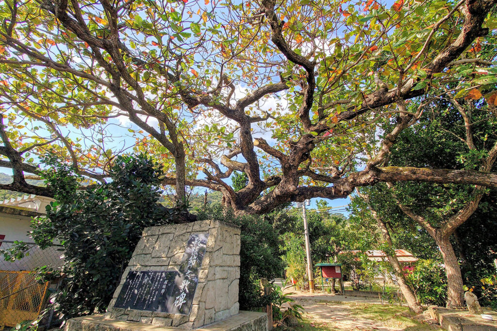 クバデサ（クワディーサー）