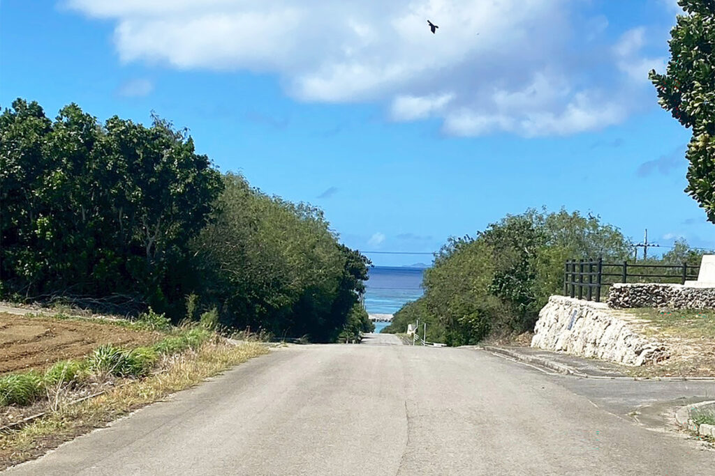 祖平花道（波照間島）