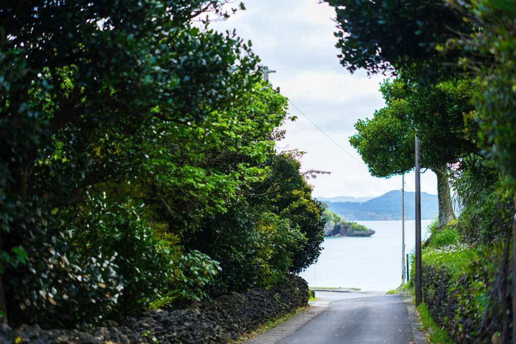 祖納集落（風景）