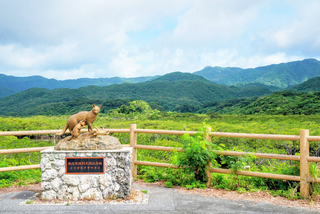 西表島の景観（イリオモテヤマネコの銅像）