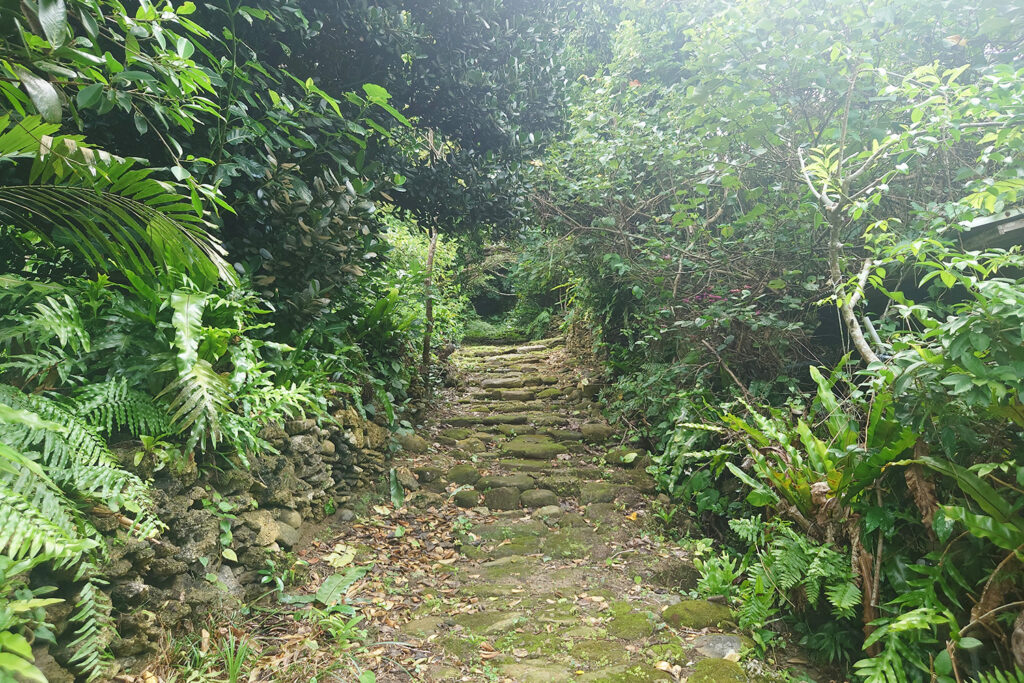 上村につづくピサダ道